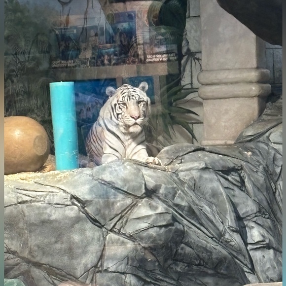 Meet your Posher, Edgar - Picture 1 of 1